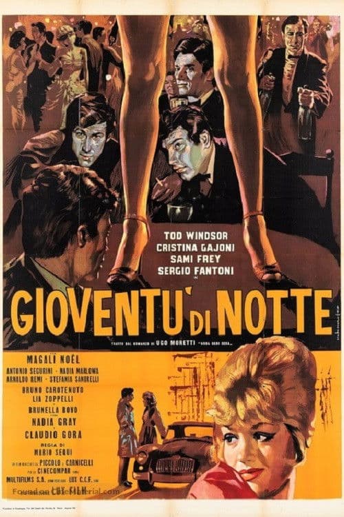 Poster for Youth at Night