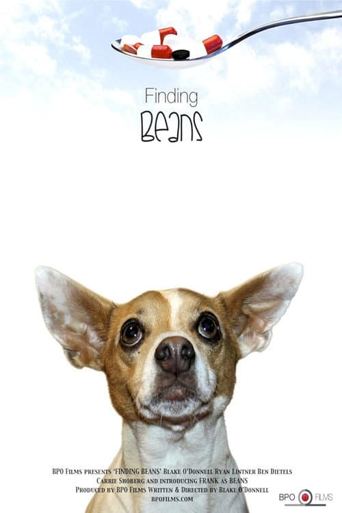 Poster for Finding Beans
