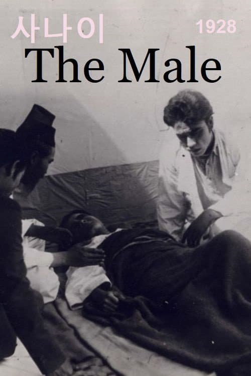 Poster for The Male
