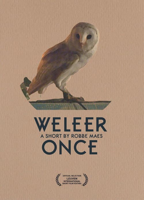 Poster for Once