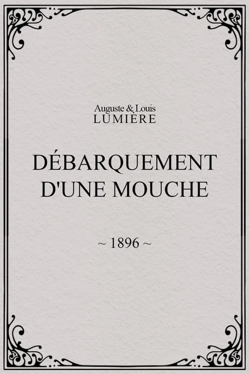 Poster for Lyon: Débarquement d'une mouche