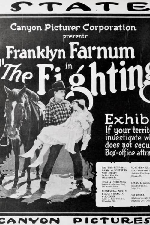 Poster for The Fighting Stranger