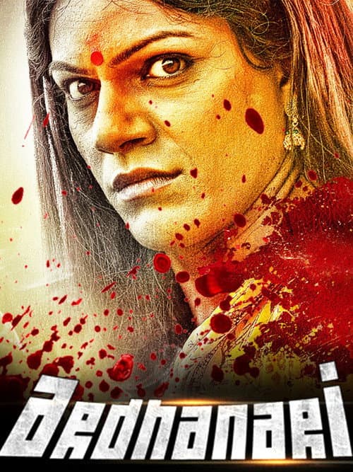 Poster for Arddhanaari