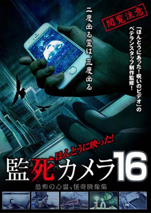 Poster for Paranormal Surveillance Camera 16