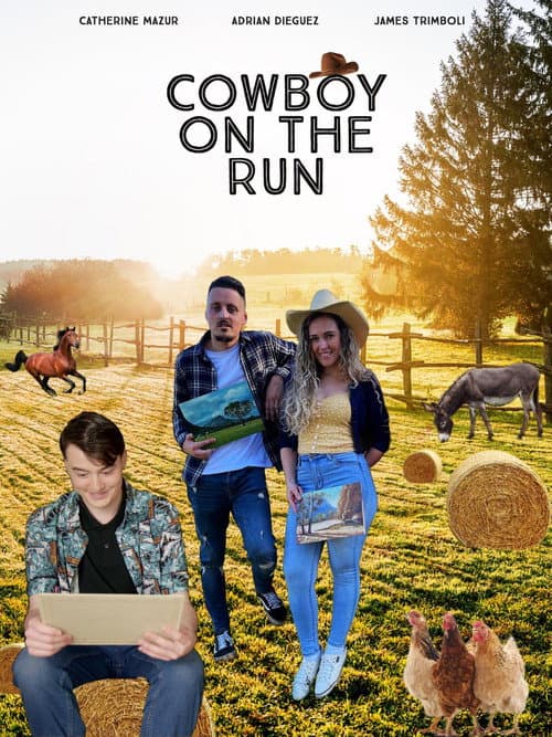 Poster for Cowboy on the Run