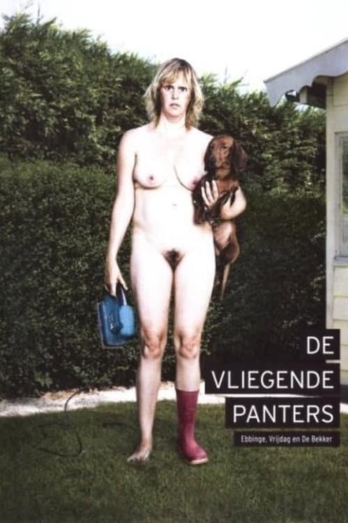 Постер до фільму «De Vliegende Panters: Ebbinge, Vrijdag en De Bekker»