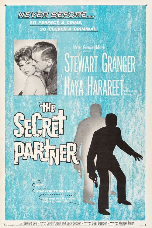 Poster for The Secret Partner