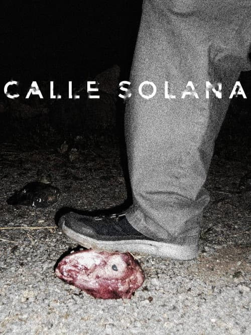 Poster for Calle Solana