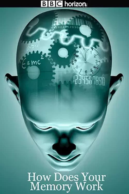 Poster for How Does Your Memory Work