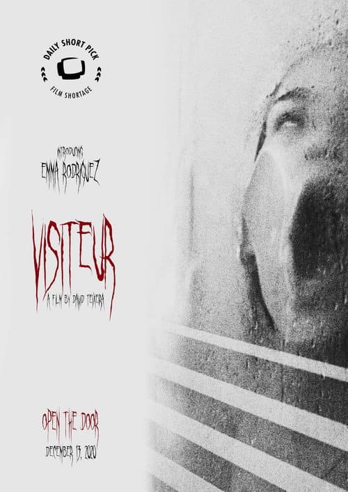 Poster for Visitor