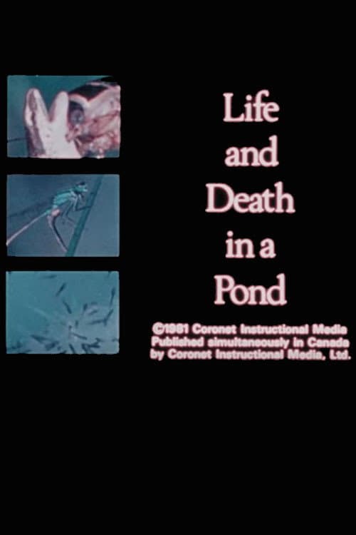 Poster for Life and Death in A Pond