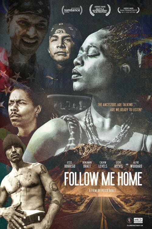 Poster for Follow Me Home