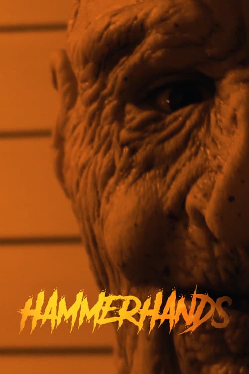 Poster for HammerHands