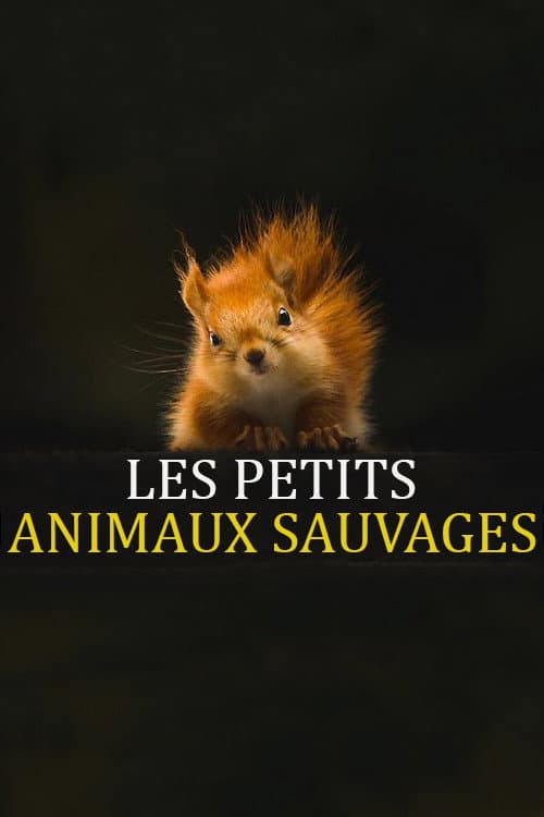 Poster for Les Petits Animaux Sauvages