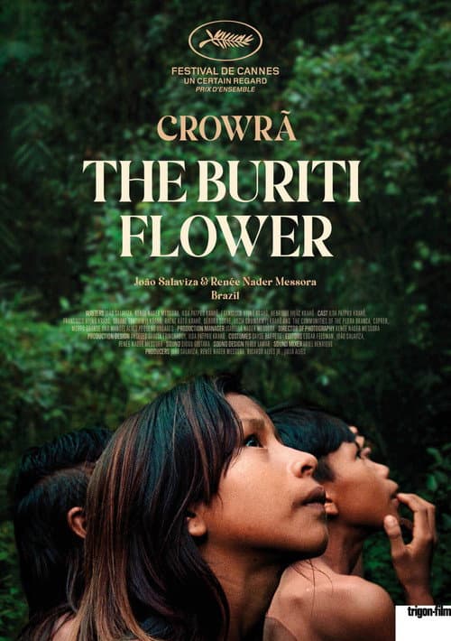 Poster for The Buriti Flower
