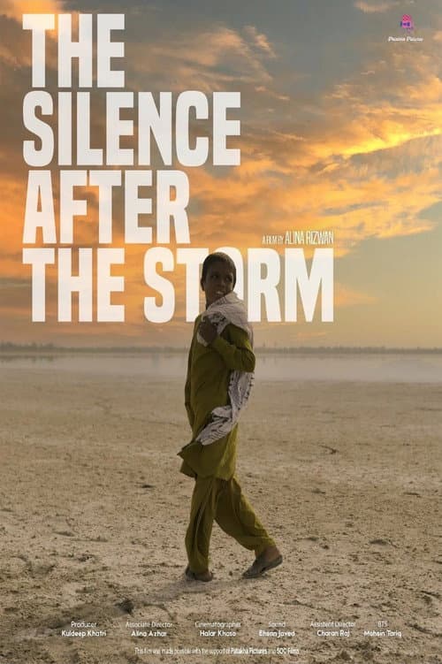 Poster for The Silence After The Storm