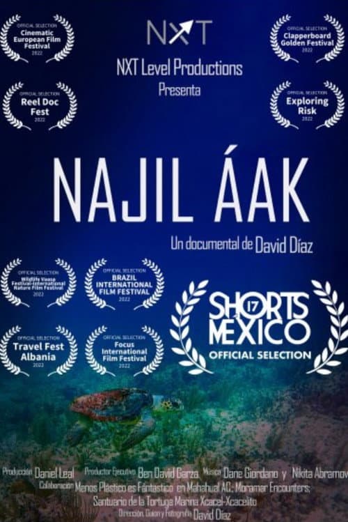 Poster for Najil Aak
