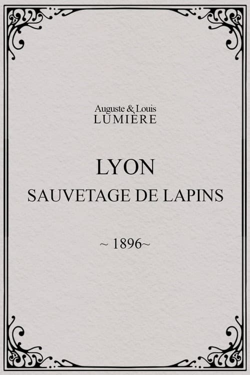 Poster for Lyon : sauvetage de lapins