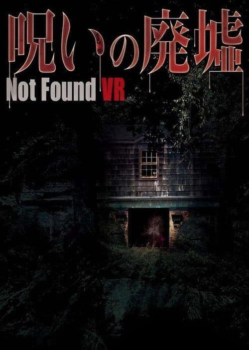 Poster for Not Found VR: Ruins of the curse
