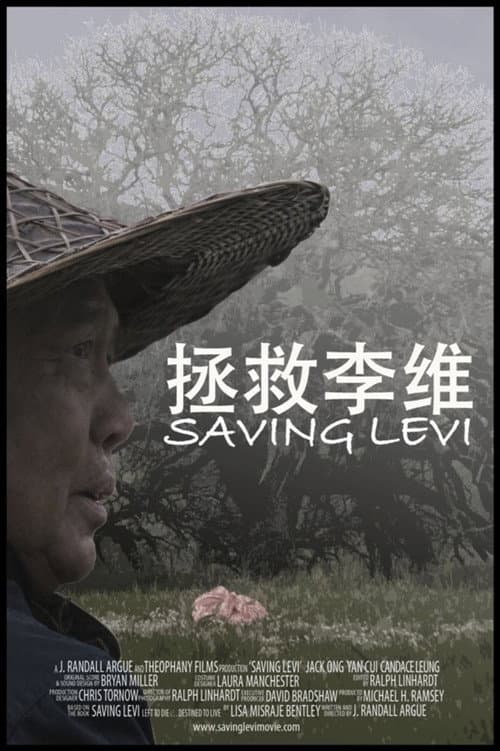 Poster for Saving Levi