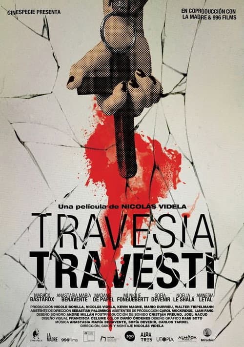Poster for Travesti Odyssey