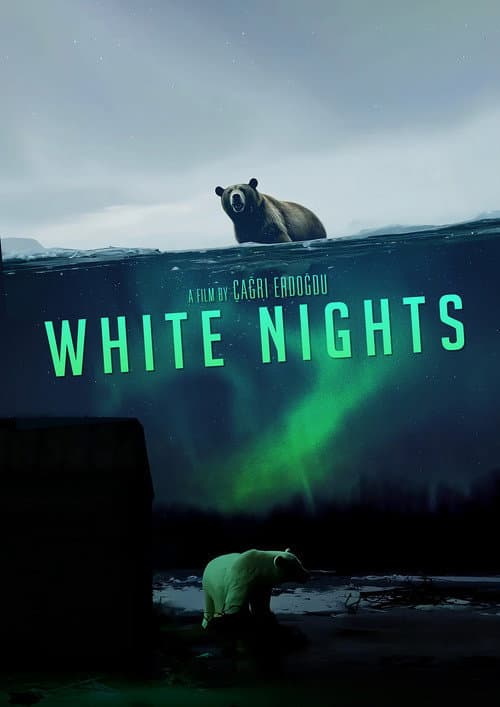 Poster for White Nights