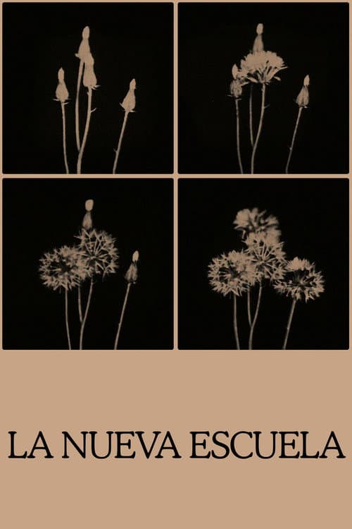 Poster for The New School