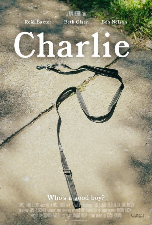 Poster for Charlie