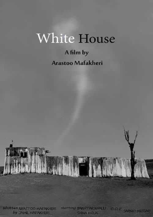 Poster for White House