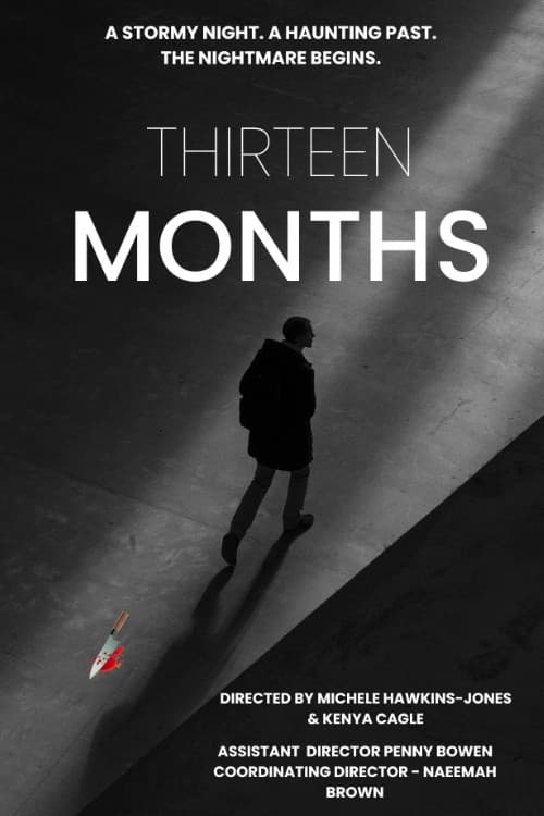 Poster for Thirteen Months