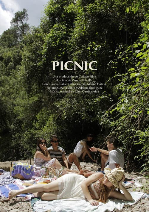 Poster for Picnic