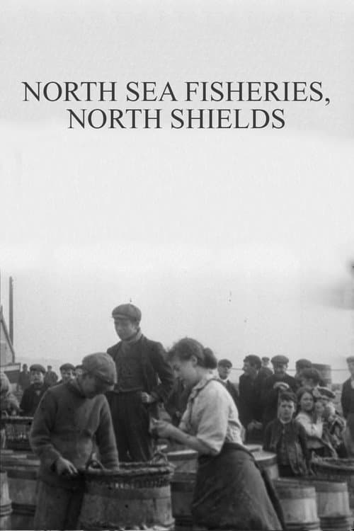 Poster for North Sea Fisheries, North Shields