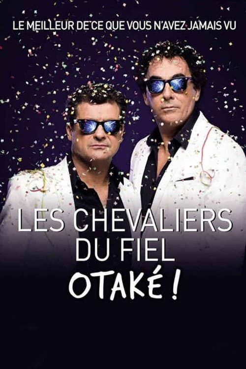 Poster for Les chevaliers du Fiel : Otaké !