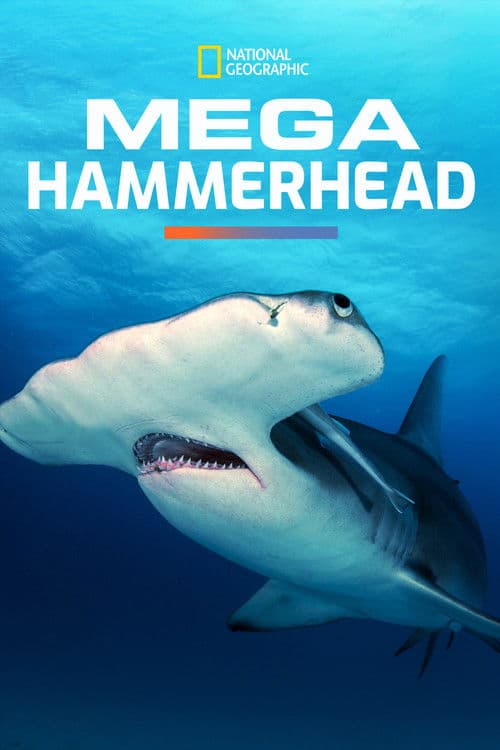 Poster for Mega Hammerhead