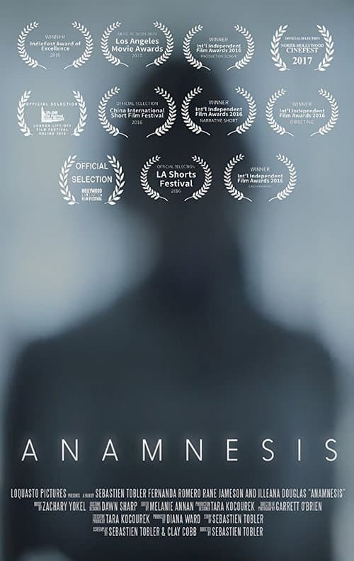 Poster for Anamnesis