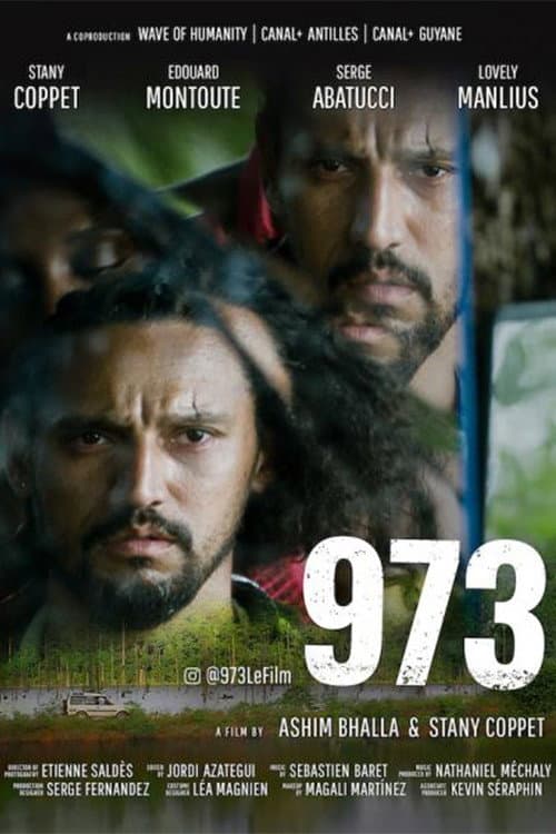 Poster for 973