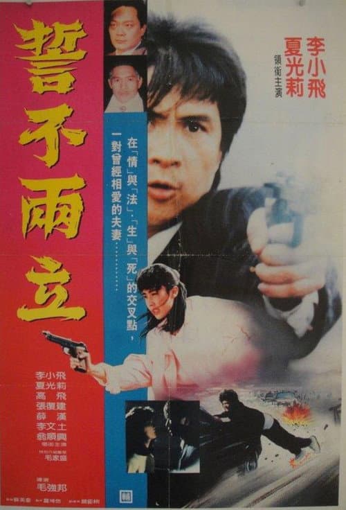 Poster for Duel of Death