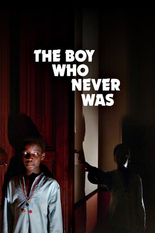 Poster for The Boy Who Never Was