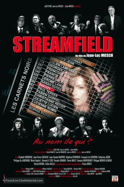 Poster for Streamfield, les carnets noirs