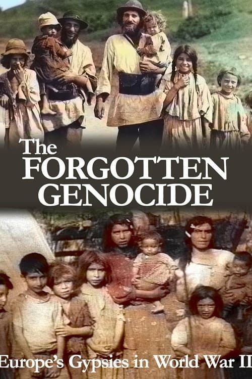 Постер до фільму «The Forgotten Genocide: Europe's Gypsies in World War II»