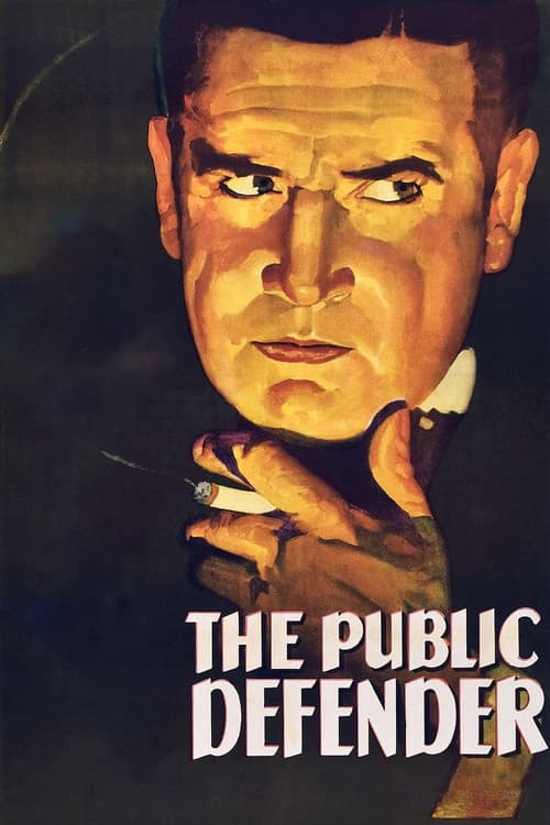 Poster for The Public Defender