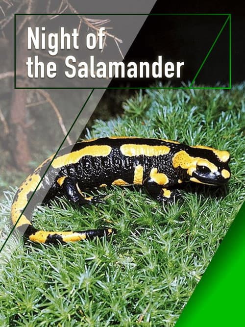 Poster for Night of the Salamander