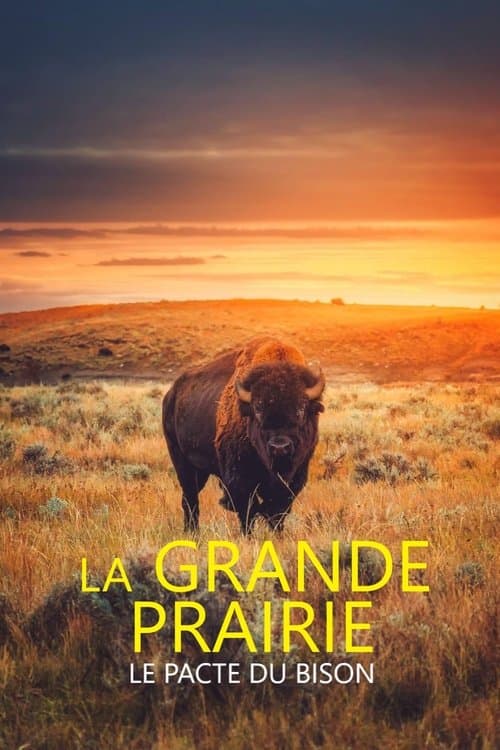 Poster for La grande prairie, le pacte du bison