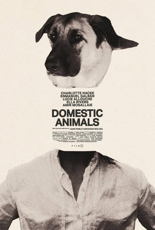 Poster for Domestic Animals
