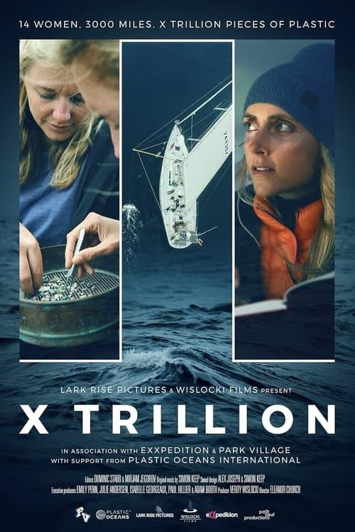 Poster for X Trillion
