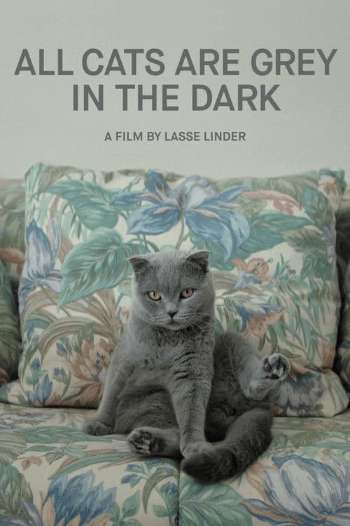 Poster for All Cats Are Grey in the Dark
