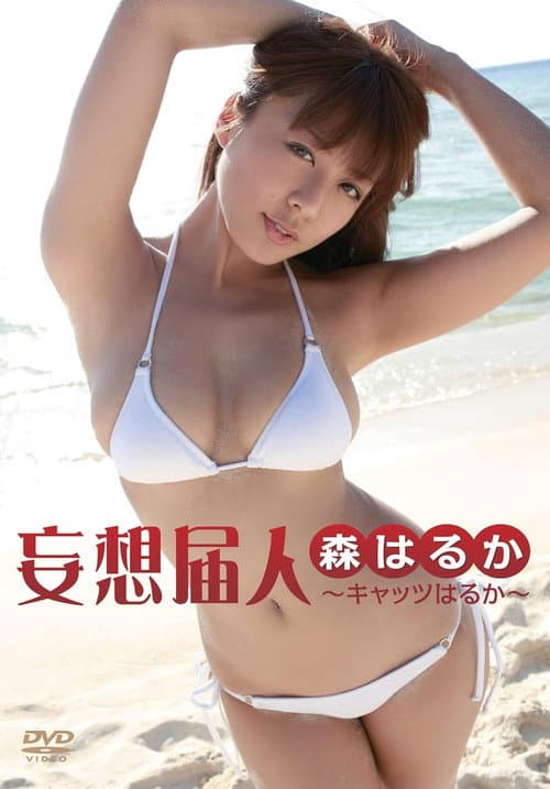 Poster for 妄想届人～キャッツはるか～
