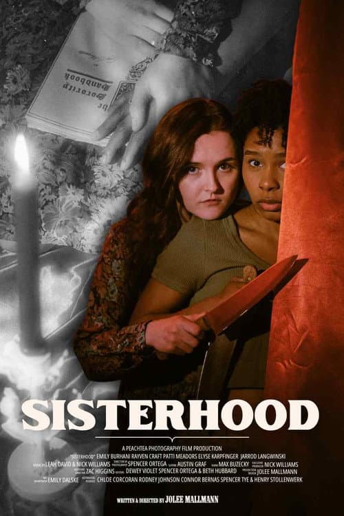 Poster for Sisterhood