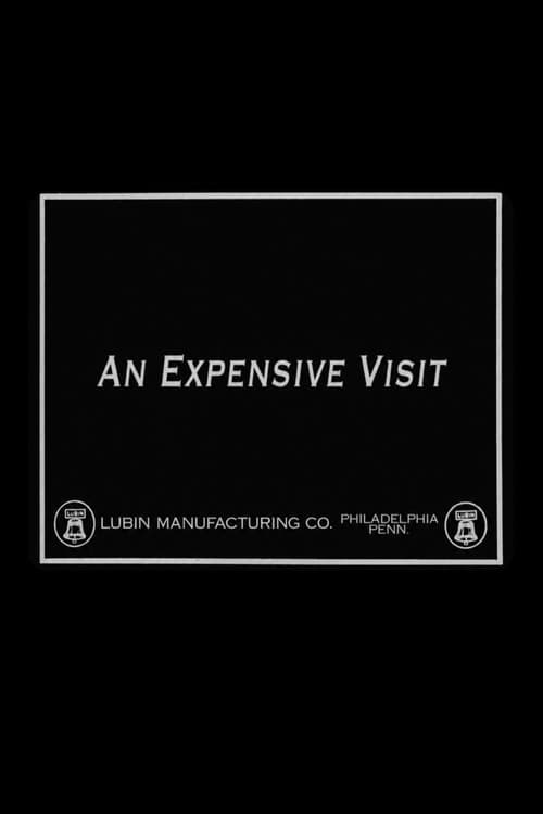 Poster for An Expensive Visit