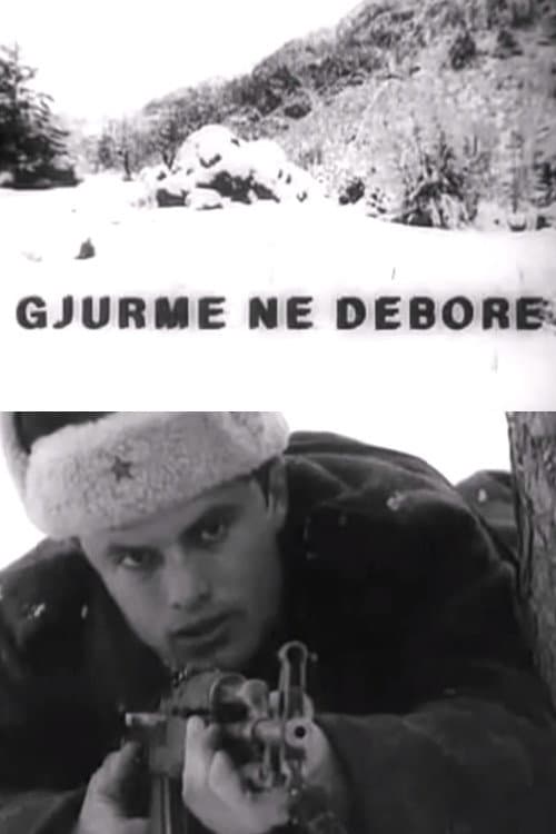 Poster for Traces in the Snow